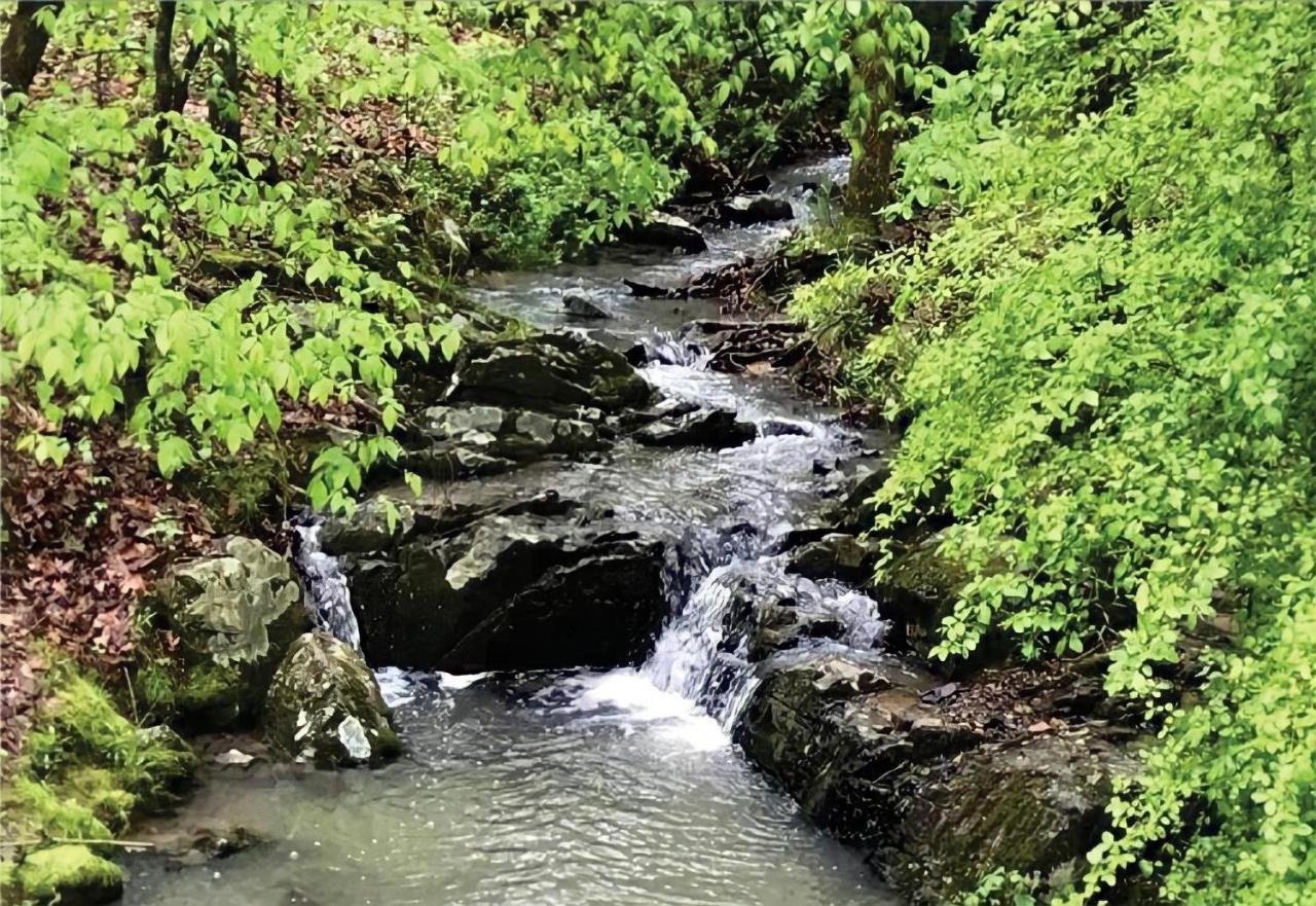Secluded Home With Mini Waterfall And A Creek In Hot Springs Buitenkant foto
