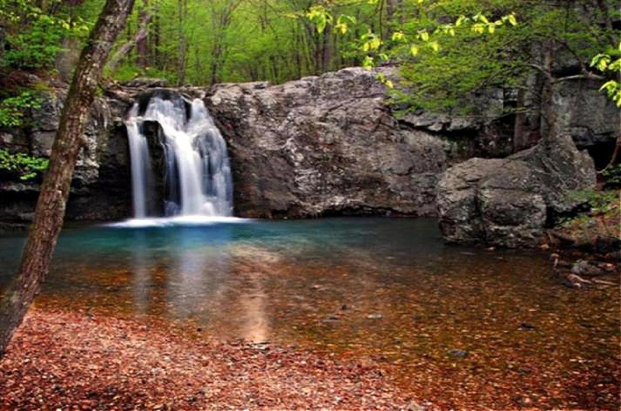 Secluded Home With Mini Waterfall And A Creek In Hot Springs Buitenkant foto